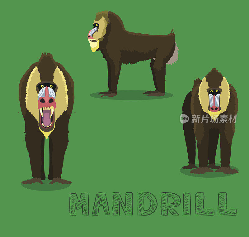 Monkey Mandrill卡通矢量插图动物卡通EPS10文件格式